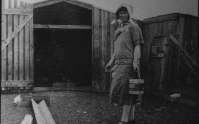 A Different Kind of Fire Publication Update