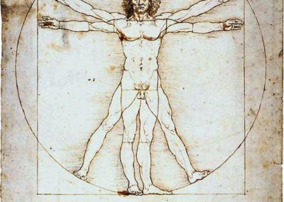 Da Vinci - The Vitruvian Man