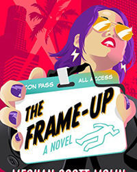 Interview with Meghan Scott Molin, author of THE FRAME-UP