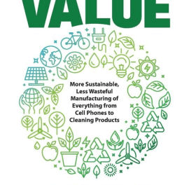 Book Review: Material Value by Julia L F Goldstein