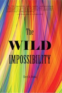 Book Review: The Wild Impossibility by Cheryl A. Ossola.