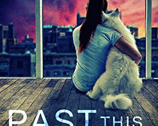 Book Review: Past This Point by Nicole Mabry