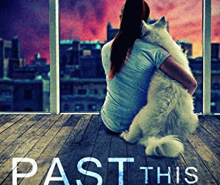 Book Review: Past This Point by Nicole Mabry