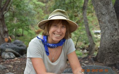 Interview: Linda Strader, author of Summers of Fire