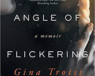 Book Review: The Angle of Flickering Light by Gina Troisi