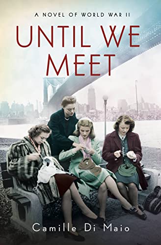 Book Review: Until We Meet by Camille DiMaio
