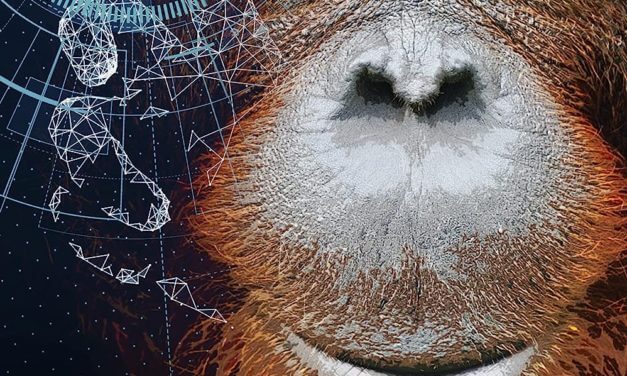 BOOK REVIEW: Signs: A De-Extinct Zoo Mystery: (De-Extinct Zoo Mystery Series Book 2) by Carol Potenza
