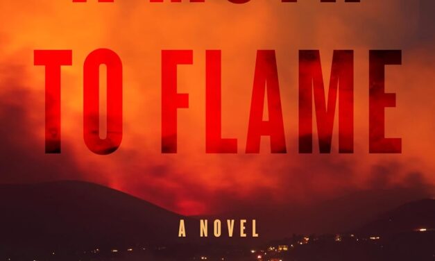 BOOK REVIEW: A Moth to Flame by Joe Clifford