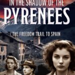 BOOK REVIEW: In the Shadow of the Pyrenees by Kathryn Gauci
