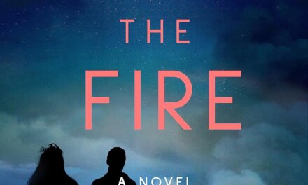 BOOK REVIEW: Light of the Fire by Sarahlyn Bruck