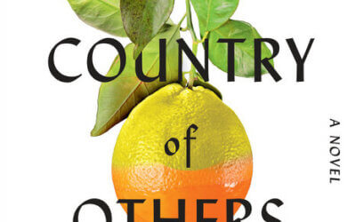 BOOK REVIEW: In the Country of Others by Leila Slimani