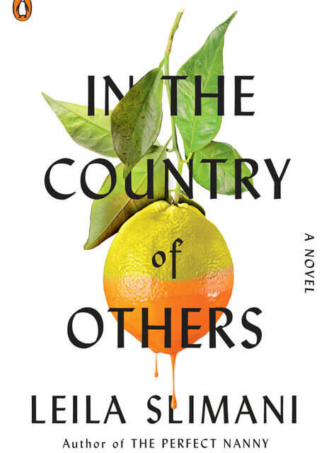 BOOK REVIEW: In the Country of Others by Leila Slimani