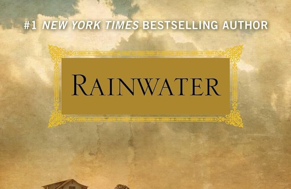 BOOK REVIEW: Rainwater by Sandra Brown