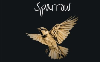 BOOK REVIEW: Song of the Wooden Sparrow by Isabel Tutaine