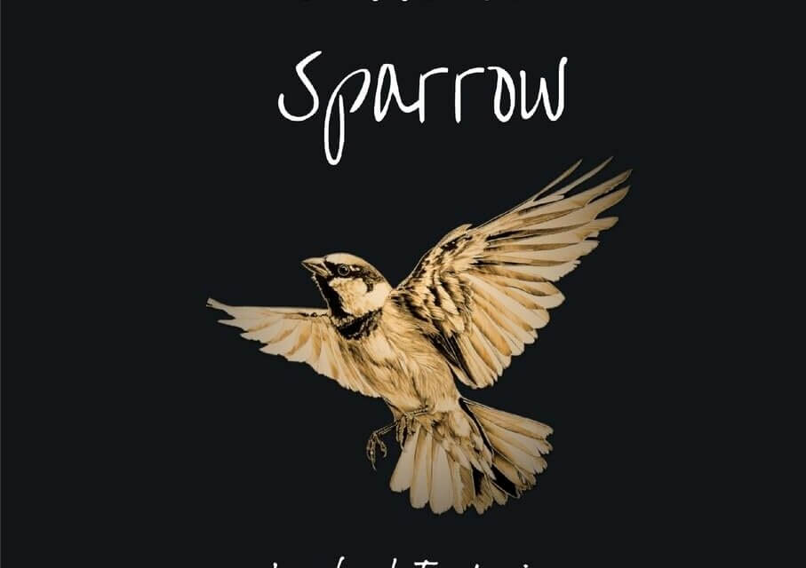 BOOK REVIEW: Song of the Wooden Sparrow by Isabel Tutaine
