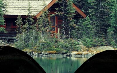 BOOK REVIEW: Black Butterfly by Claudia Jones